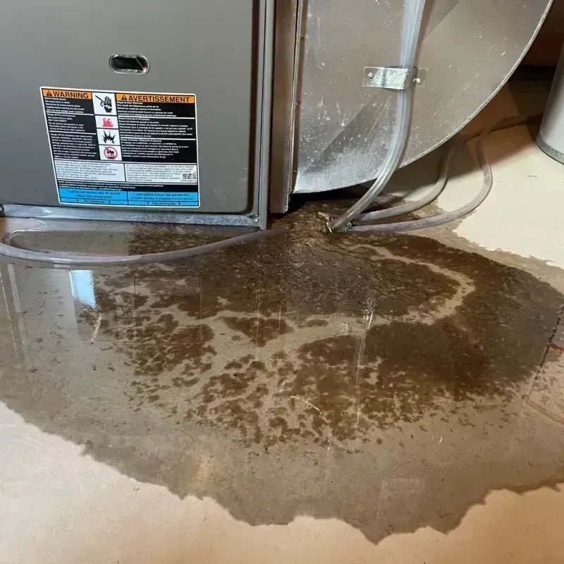 Appliance Leak Cleanup in Piggott, AR